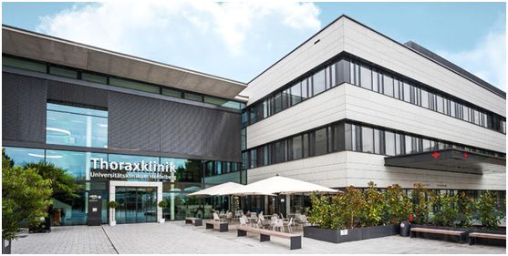 圖片關(guān)鍵詞