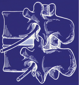 圖片關(guān)鍵詞