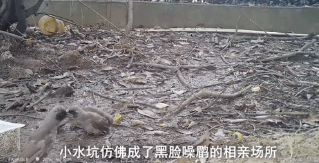 圖片關鍵詞 圖片關鍵詞