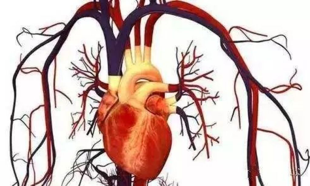 圖片關(guān)鍵詞