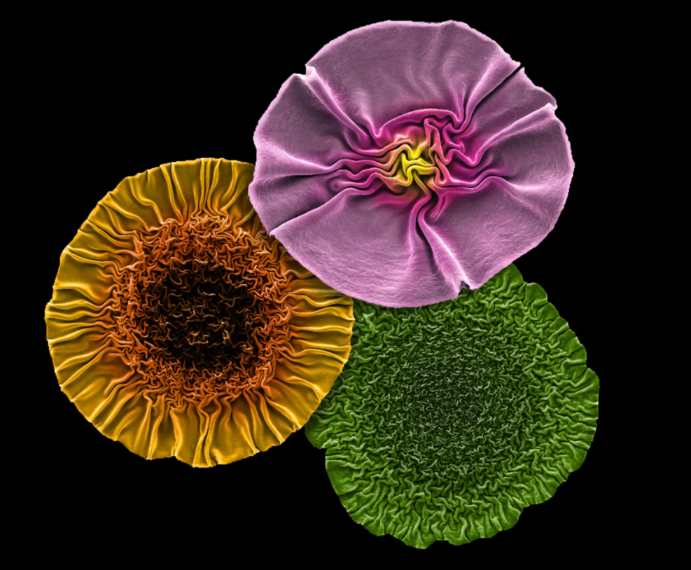 圖片關(guān)鍵詞 圖片關(guān)鍵詞