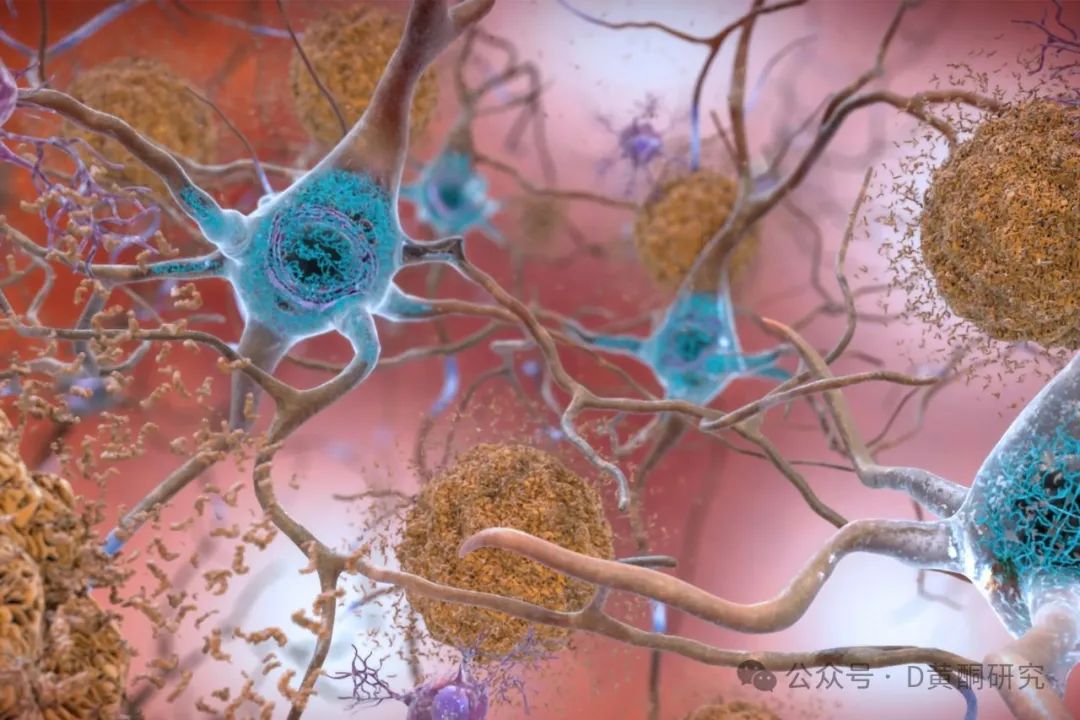 1752229570239564.jpg 640.jpg