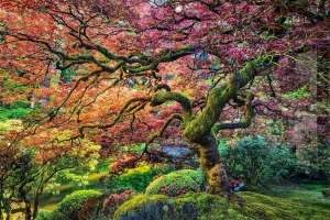 仁醫(yī)特刊 | 2019 從廣州到慕尼黑（三）