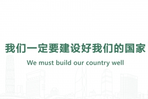 We must build our country well